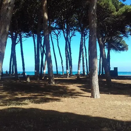 Platja